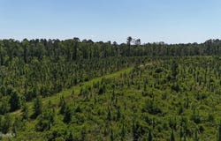 Deer Run Road, Vidalia, GA 30474