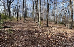 Taylorsville Road unit: Tract 1, Taylorsville, NC 28681