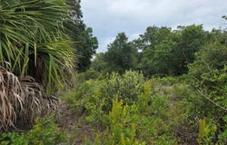 2354 MARCELLA Terrace, PUNTA GORDA, FL 33983
