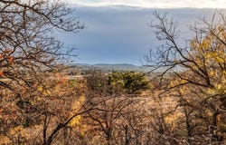 Tbd Reevs Road, Graham, TX 76450