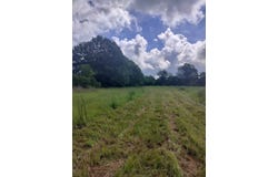 FCR 280, Oakwood, TX 75855