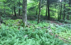 1656 Frost Valley Road, Claryville, NY 12725