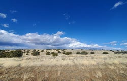 CR 5101, Concho, AZ 85924
