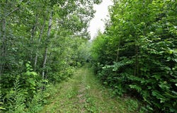 54350 & 54390 Arnie Carlson Road, Drummond, WI 54832