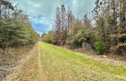County Road 3122, McCool, MS 39108