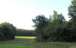 Justice Branch Road, Halifax, NC 27839