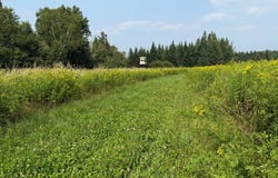 0 Highway 45, Deerbrook, WI 54424