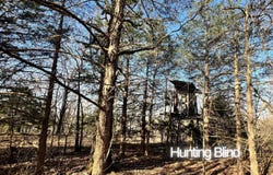 120ac County Road 547, Tecumseh, MO 65760