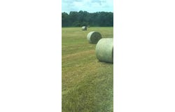 Tbd Private Road 4145, Cross Plains, TX 76443