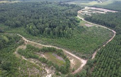 97.83 Acres-TBD Sugar Hill Fox Rd., Pamplico, SC 29583