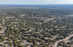 1595 Blackbuck Dr E, Eldorado, TX 76935