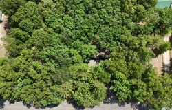 211 Skocelas Road N, Manistee, MI 49660