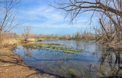 1875 CR 466, Elgin, TX 78621