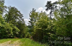 The Vines Boulevard lot: 22, Marshall, NC 28753