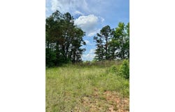 3860 Yellow Creek Road, Louisville, MS 39339