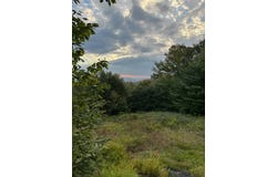 758 State Route 8 Rd + 59.1 Acres (Lot 125.000-1-26.200), Hoffmeister, NY 13353