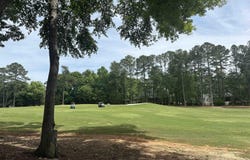 537 Misty Banks Drive, Chapin, SC 29036