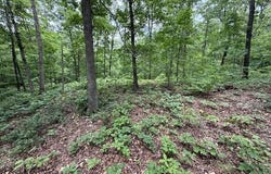 Rori  LN, Bella Vista, AR 72715