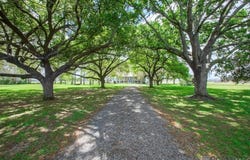 6847 False River Rd, Oscar, LA 70762