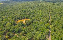 10933 County Road 4233, Frankston, TX 75763
