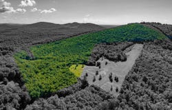 7869 LAUREL RD, Shipman, VA 22971