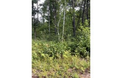 Lot 17 Jamesway Road, Siren, WI 54872