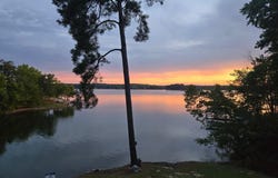 1803 Inkbush Trail, Ridgeway, SC 29130