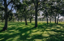4851 County Road 135, Wharton, TX 77488