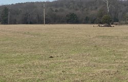 TBD Winds Road, Ozark, AR 72949
