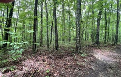 Tract 4 ROB WATSON Rd, Oneida, TN 37841