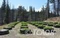 430 Trinity Pines Dr, Trinity Pines, CA 96041