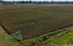 6 Acres Stephens Road, Hazel Green, AL 35750