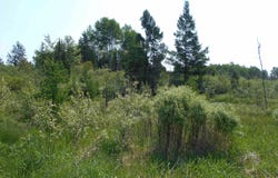 15893 State Hwy M-35, Rock, MI 49880