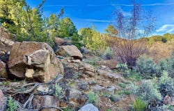 4665 S 9 8/10 Road, Glade Park, CO 81523
