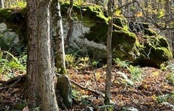 Delaware Avenue lot: 149.20-2-3, Delhi, NY 13753