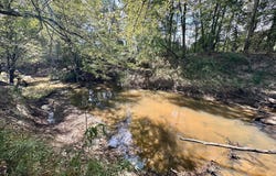 5 Highway 35, Walnut Grove, MS 39189