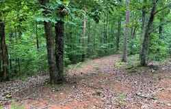 198 Log Round Mountain Trail, Ellijay, GA 30540