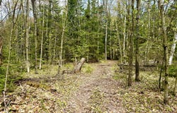 Route 374 lot: 1, Cadyville, NY 12918