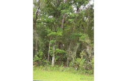 4300 N Williams Avenue, Crystal River, FL 34428