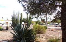1484 E SILVER KING Road, Queen Valley, AZ 85118