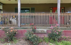 475 Gerald Carr Drive, Flat Gap, KY 41219