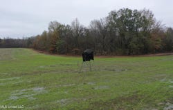 2000 Walnut Lake Road, Dundee, MS 38626