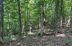 0 Thomas Road, Laurelville, OH 43135