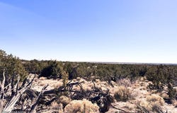 Tbd CR 7411, St. Johns, AZ 85936