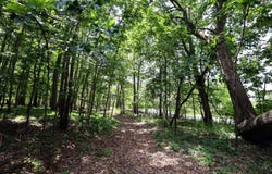 25270 B Drive S, Albion, MI 49224