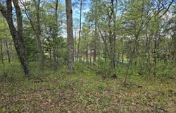 1163 Brown Bear Trail, Nekoosa, WI 54457