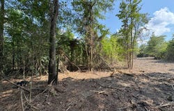 TBD County Road 4855, Timpson, TX 75975