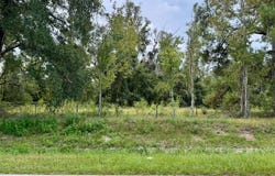 NE DUSTY MILLER AVENUE, Pinetta, FL 32350