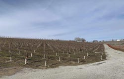 630 Moore Rd, Pasco, WA 99301