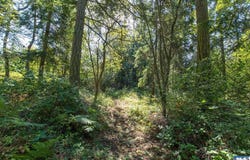 9999 Discovery Road, Port Townsend, WA 98368